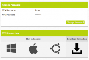 VPN Management at ION