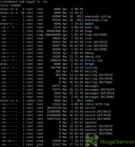 var log ls output