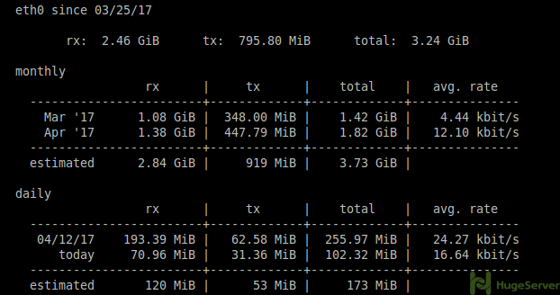 vnstat command line interface