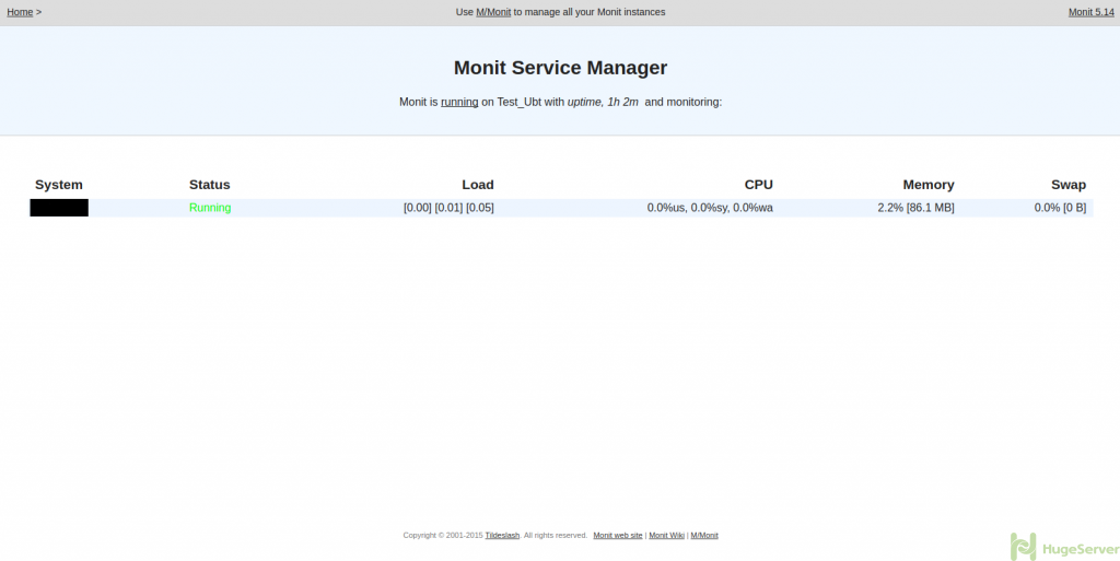 monit file monit file